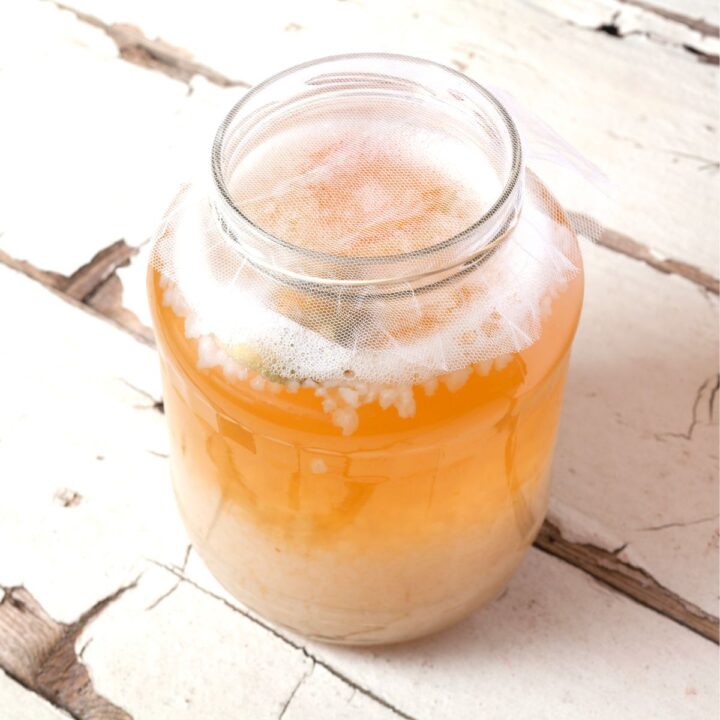 A large clear jar filled with golden water kefir and kefir grains. The jar is topped with a piece of white mesh and is sitting on an old white barn wood table.