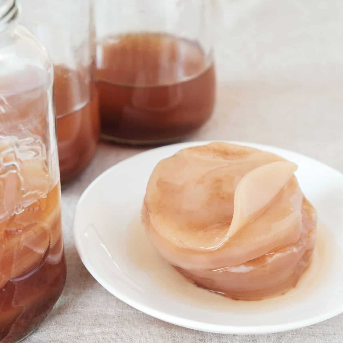 A stack of Kombucha SCOBYs resting nicely on a bright white plate. The plate is sitting next to three jars full of golden brown kombucha made at home.