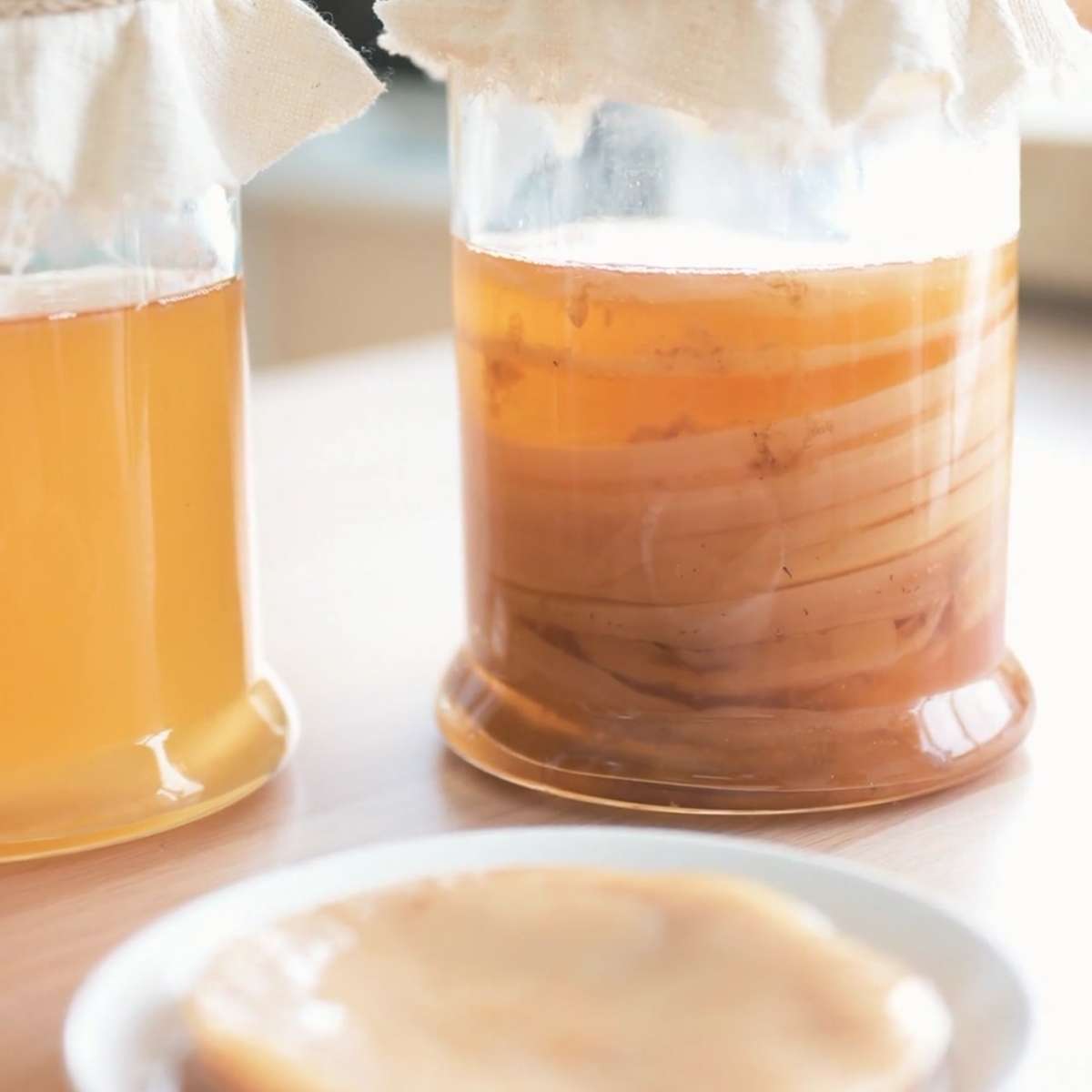 A clear jar full of Kombucha SCOBYS used to make homemade kombucha tea. A scoby is resting on a white plate in front of the jar of scobys. Nearby is a full jar of kombucha.