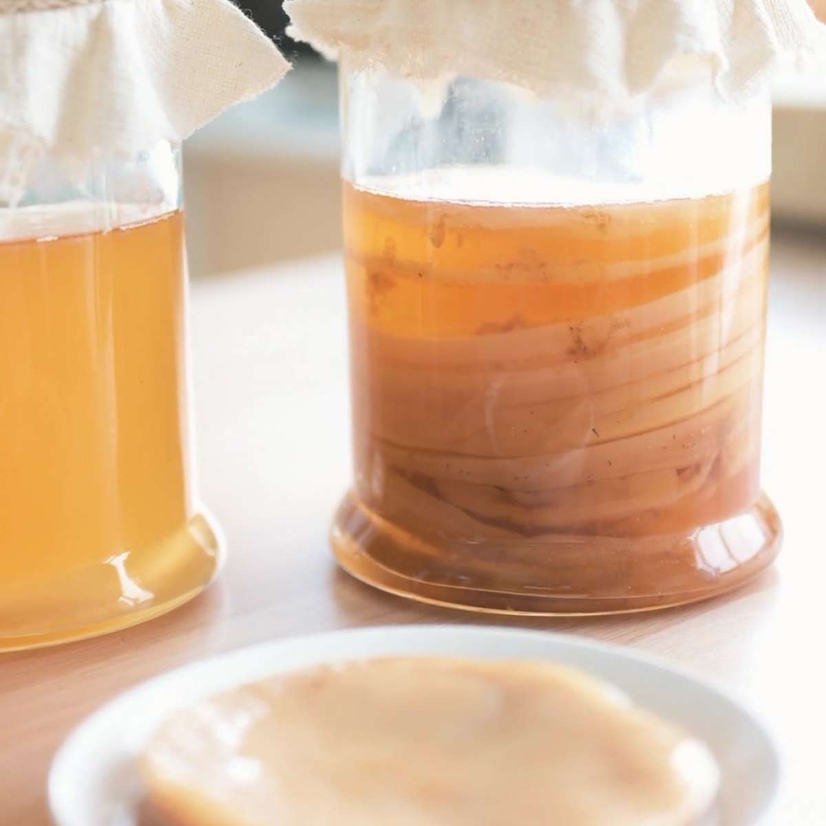 A large clear jar full of kombucha SCOBYs in a nice neat stack. A single scoby sits on a white plate in front of the full jar.
